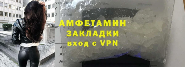 прущие грибы Белокуриха