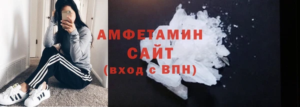 прущие грибы Белокуриха