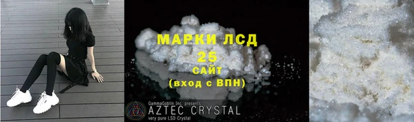 прущие грибы Белокуриха