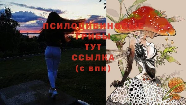 твердый Белоозёрский