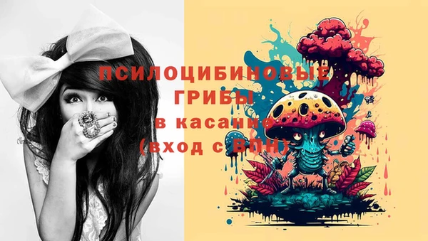 спайс Беломорск