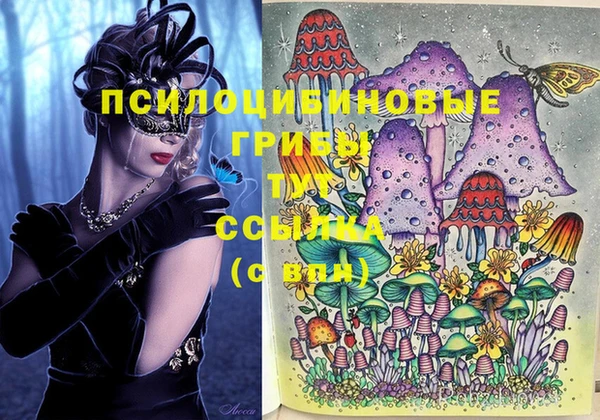 прущие грибы Белокуриха