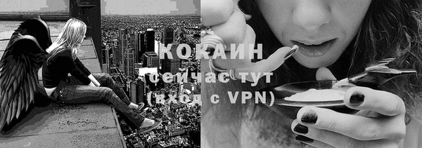 твердый Белоозёрский