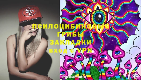 твердый Белоозёрский