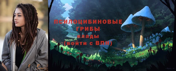 прущие грибы Белокуриха