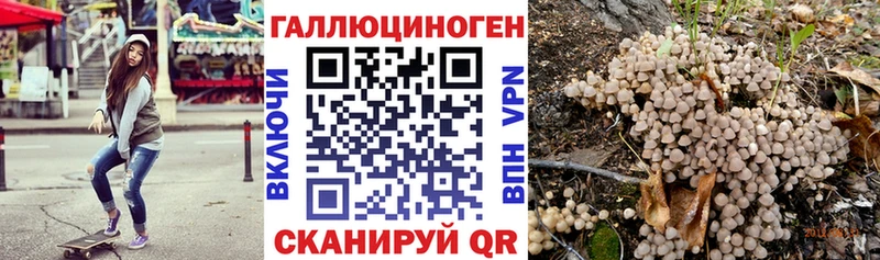 продажа наркотиков  Кропоткин  mega зеркало  Галлюциногенные грибы Cubensis 